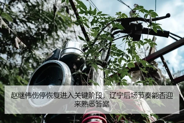 赵继伟伤停恢复进入关键阶段，辽宁后场节奏能否迎来熟悉答案